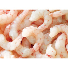 IQF PUD Pink Shrimp Sea Shrimp Serie